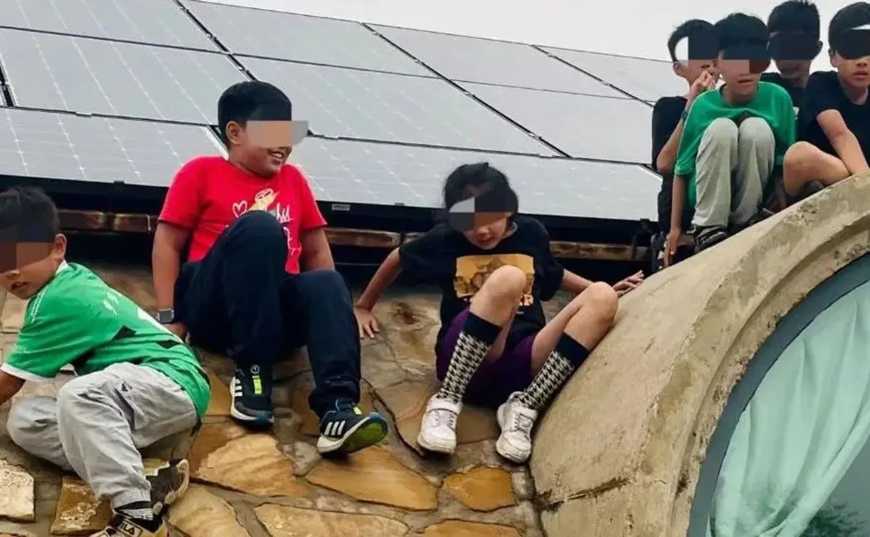 骗一群小学生高价买面粉，我真能下得去手