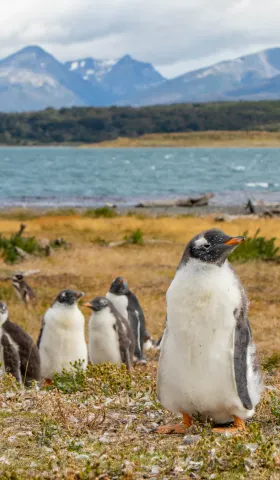 【解讀美股情緒】結局還能多明顯 - 20250918