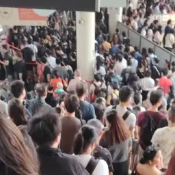 火贪格救了我