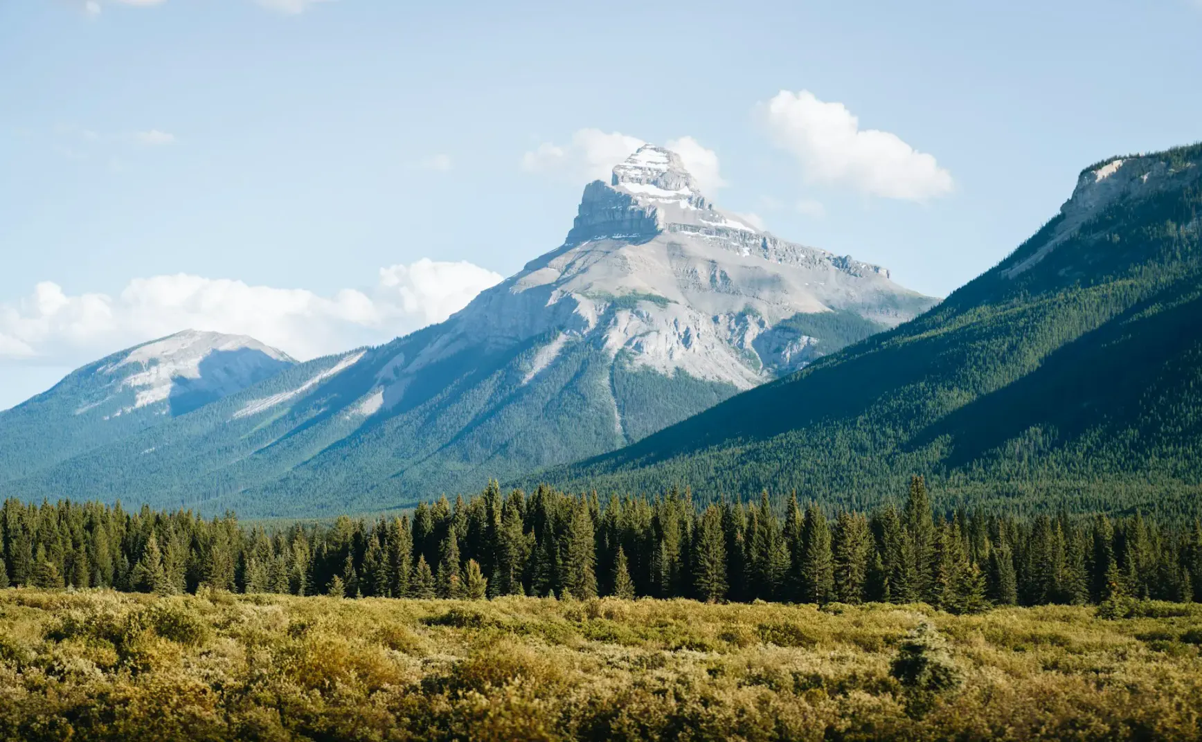 习惯养成的一点新实践