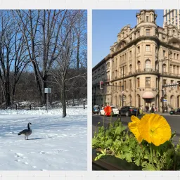 Issue#17 不停探问 1 ：来自童年的探问