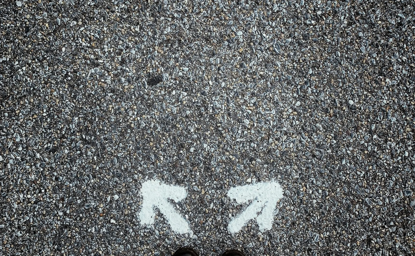 NO50 Best of article：如何选择一份职业？