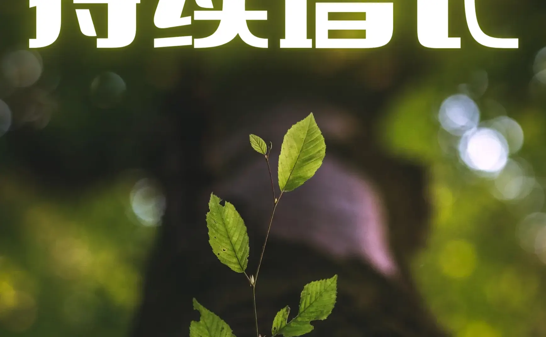#19 持续增长