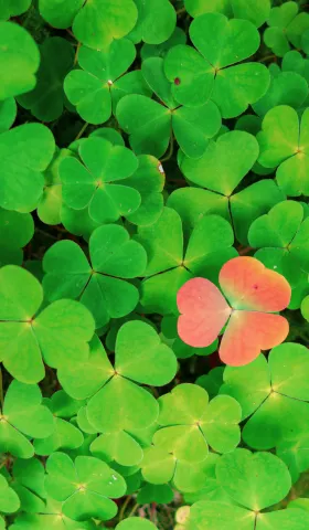 最小临床重要差异（MCID）详解