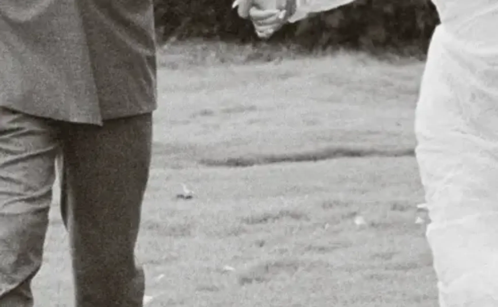 致可爱的永恒之处