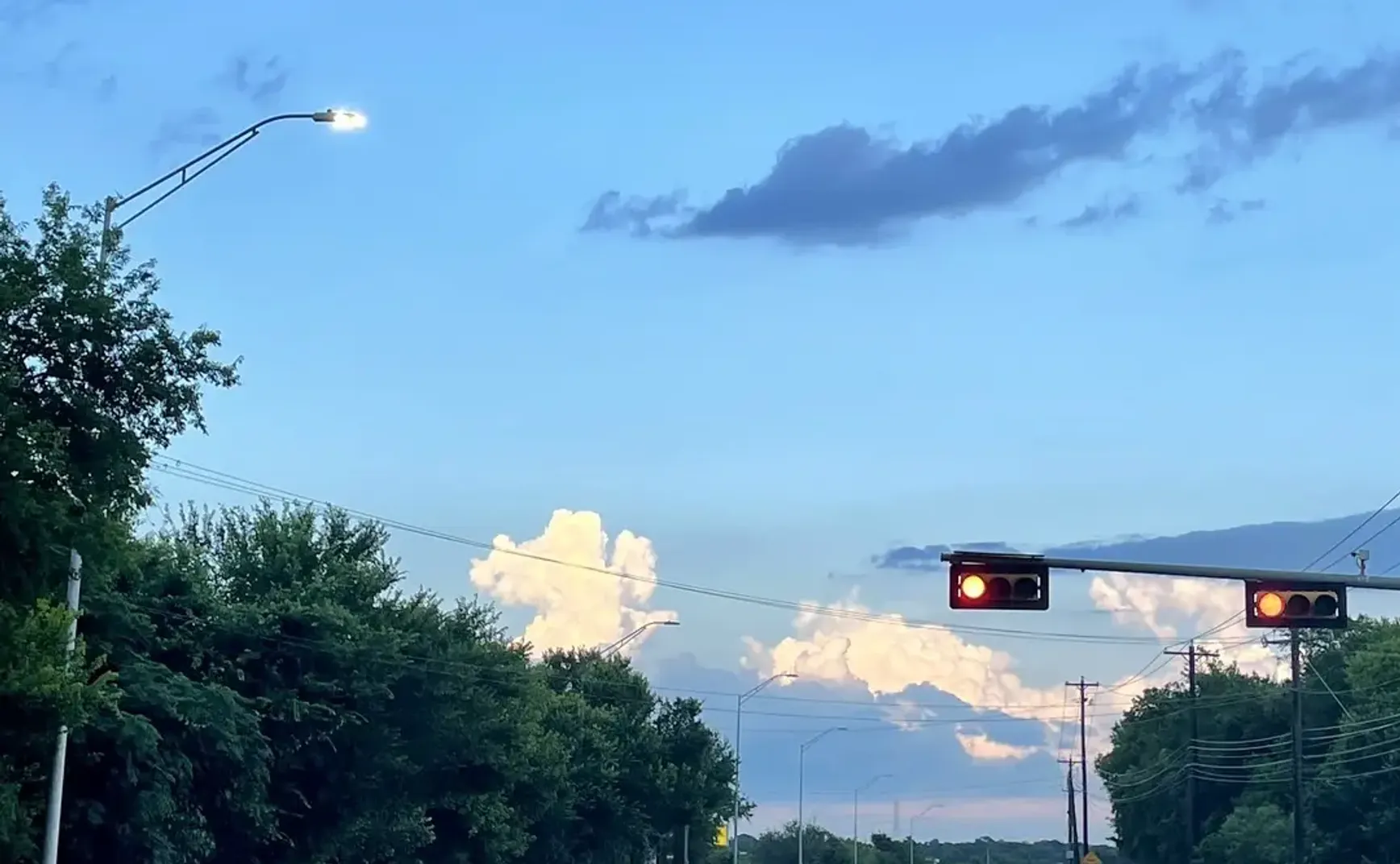 如何写一颗蓝莓｜自说自话#97
