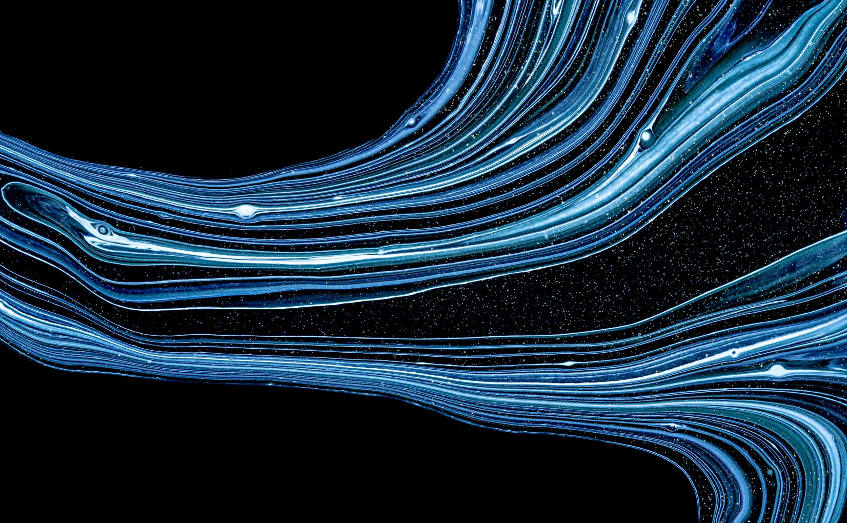 《眼科微分几何》第一卷第二部分：线路之眼——流与向量场