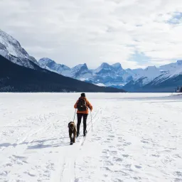 【解讀美股情緒】雪下的那麼深,下得那麼認真 - 20251210