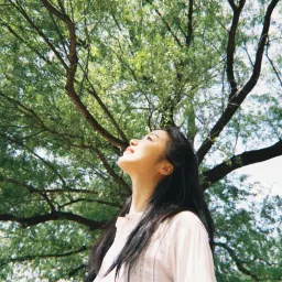 【32】“能照亮黑暗的,自身也在黑暗处”|曲率飞船newsletter