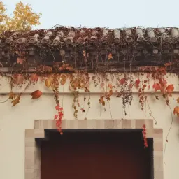 Semi-paranoid #54 淡人的浓厚阅读体验