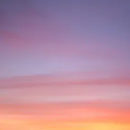 Orange AI 的 5 月小结