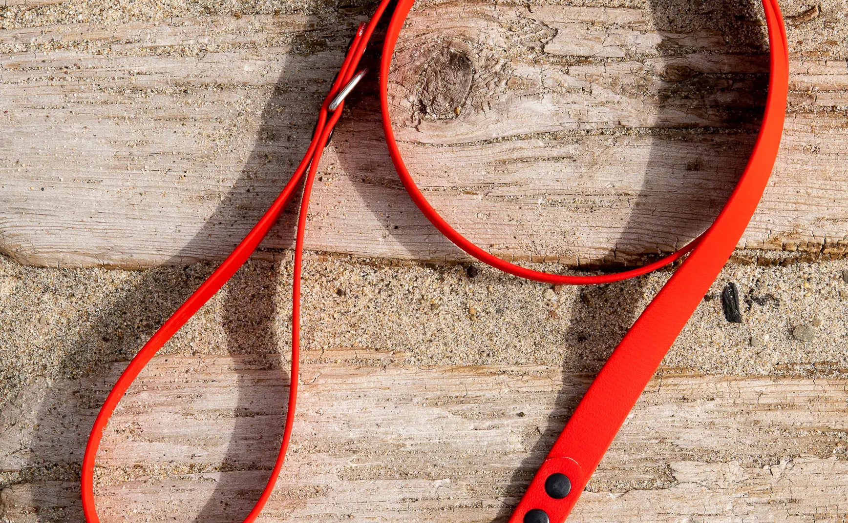 《猫图腾》第三章：“犬”的驯化