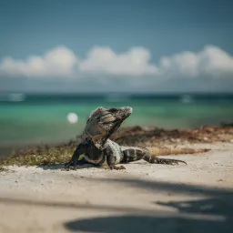 悲观的人永远正确， 乐观的人创造明天!