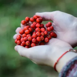 《实用泛函分析：Python驱动的眼视光学镜片设计优化》课程大纲