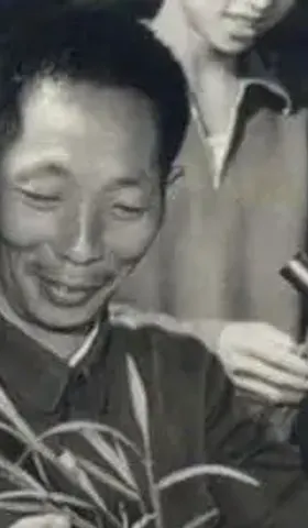 如何理解袁隆平的实际贡献？