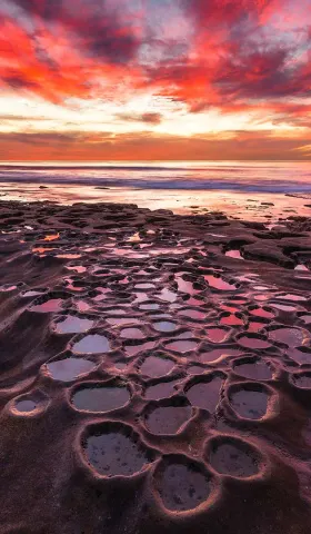 8月5日 | 每日焦点：许倬云先生逝世，基因研究突破，多领域事件引关注