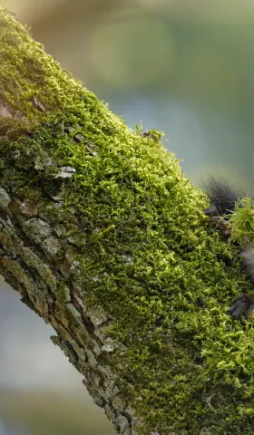 9月9日 | 外交部反制日本参议员；云南家长被行拘引争议；多项民生新政发布
