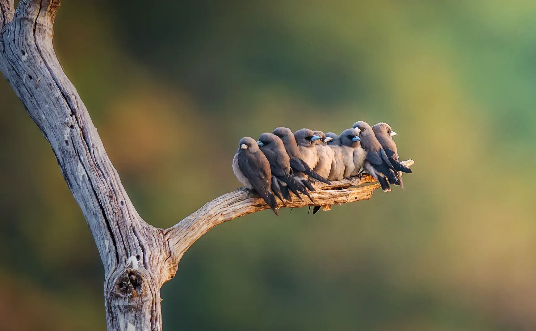 7月24日 | 悲痛与前行：学生矿企坠亡，海南自贸港封关，航天员受褒扬