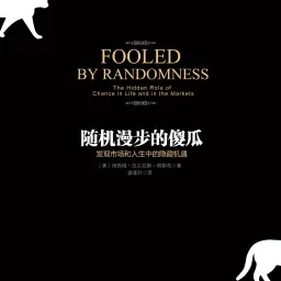 《随机漫步的傻瓜》翻译探讨