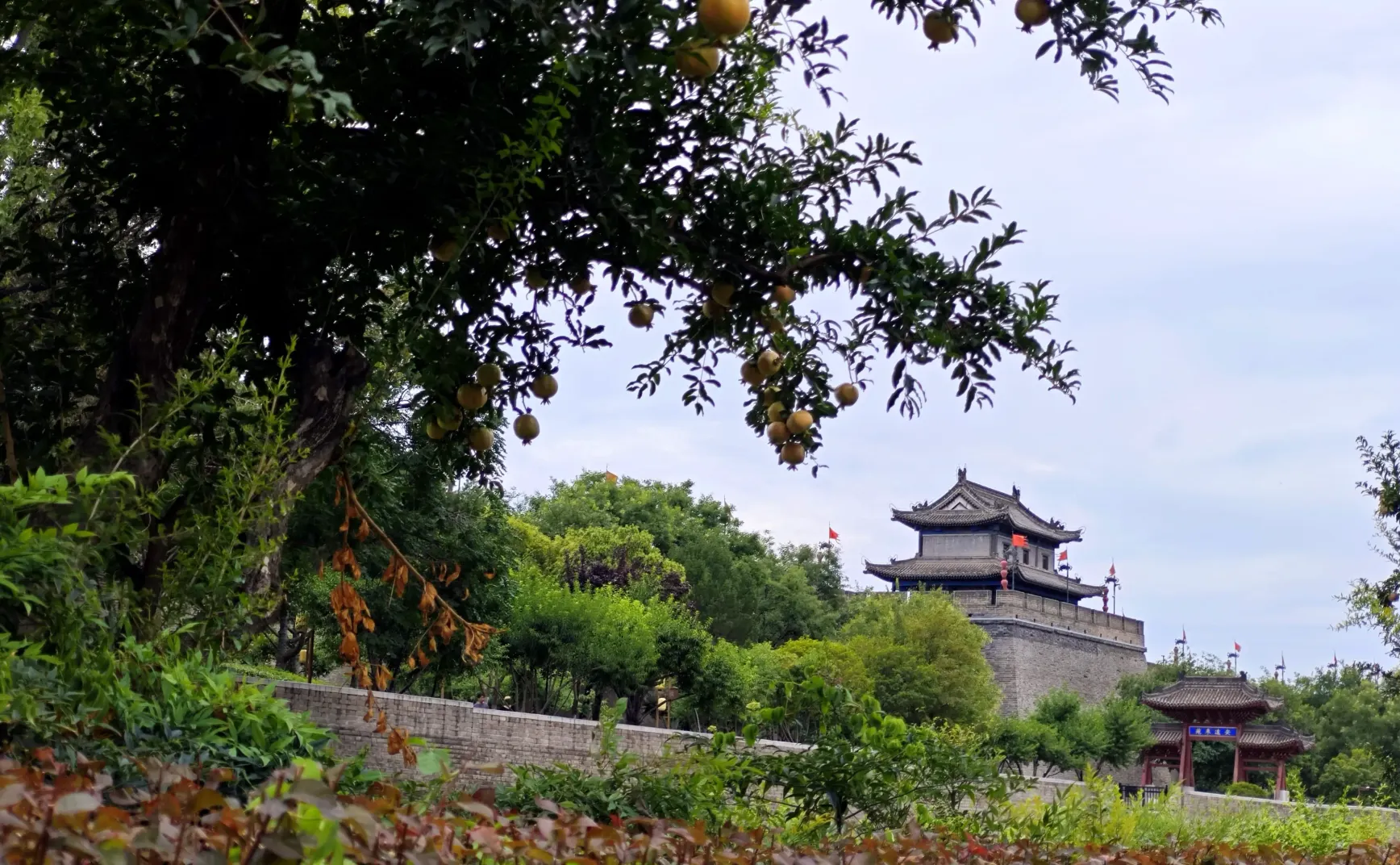 相聚已是最好的安排 | 试行错误139