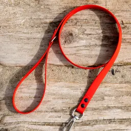 《猫图腾》第三章：“犬”的驯化