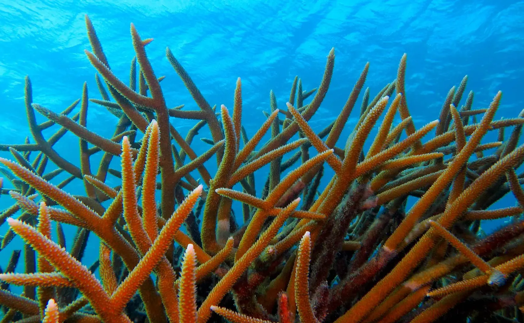 7月21日 | 甘肃铅毒案追责升级；靓家居停业创始人坠亡；越南船难35人遇难
