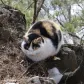 闲时杂记