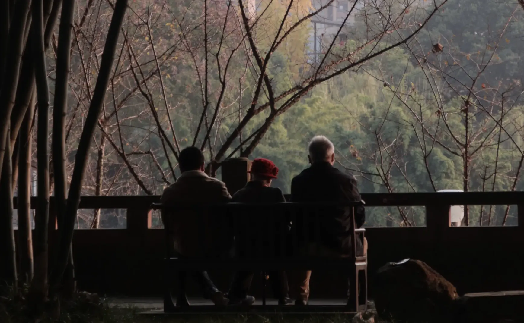 【35】用吸管喝水会让水更好喝｜曲率飞船newsletter