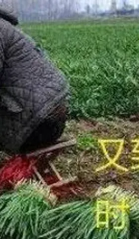 股票发行注册制之后，请确保让造假企业赔到倾家荡产