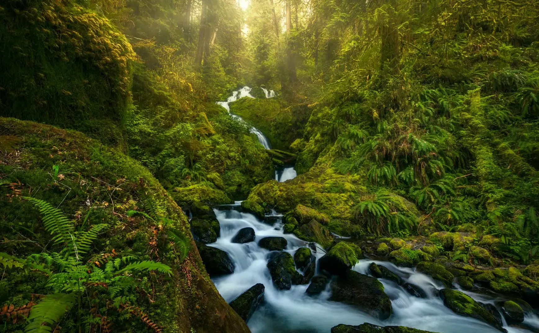 9月14日 | 预制菜风波重创西贝，美芯片遭反倾销调查，多项热点事件速览