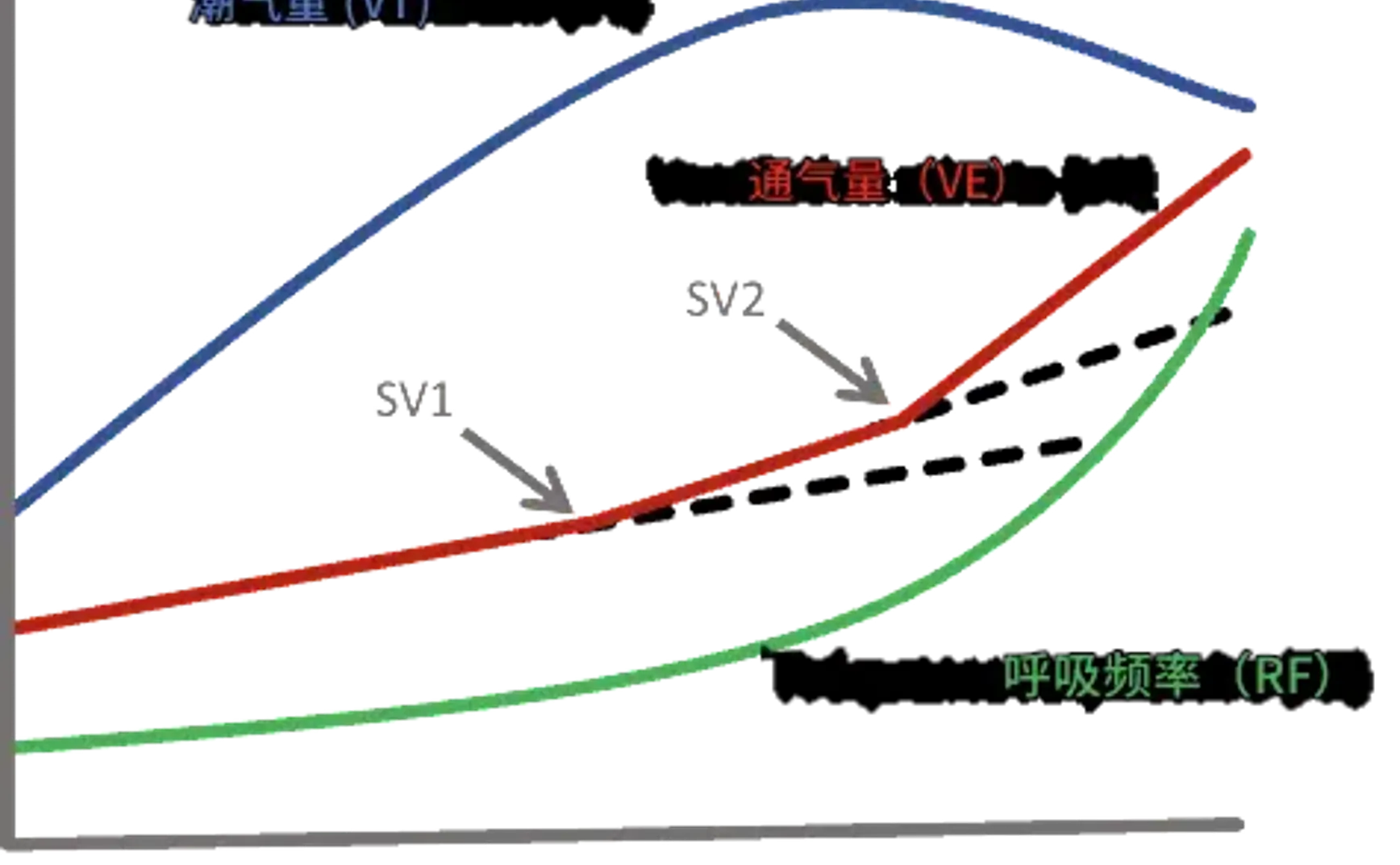 有哪些生理测试可以评估运动表现，专业实验室都在测什么？