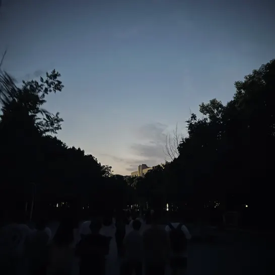 他人真的需要我的帮助吗？