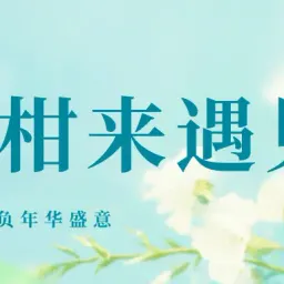 复盘W15-苦尽柑来遇见你