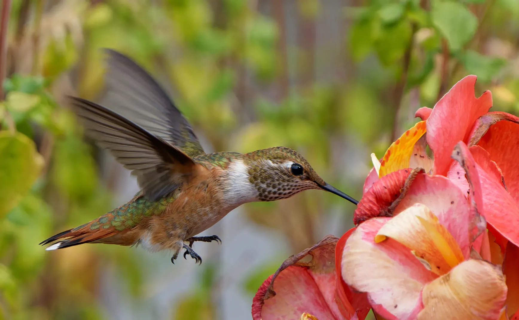 从最小行动开始重塑人生