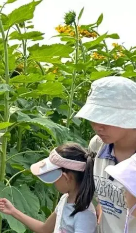 带夏令营的过程，也是补上我自己梦想的童年