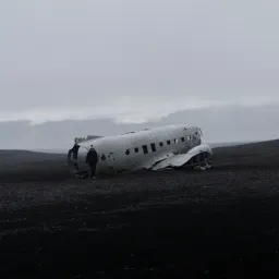 Best of article 12：智力肥胖危机