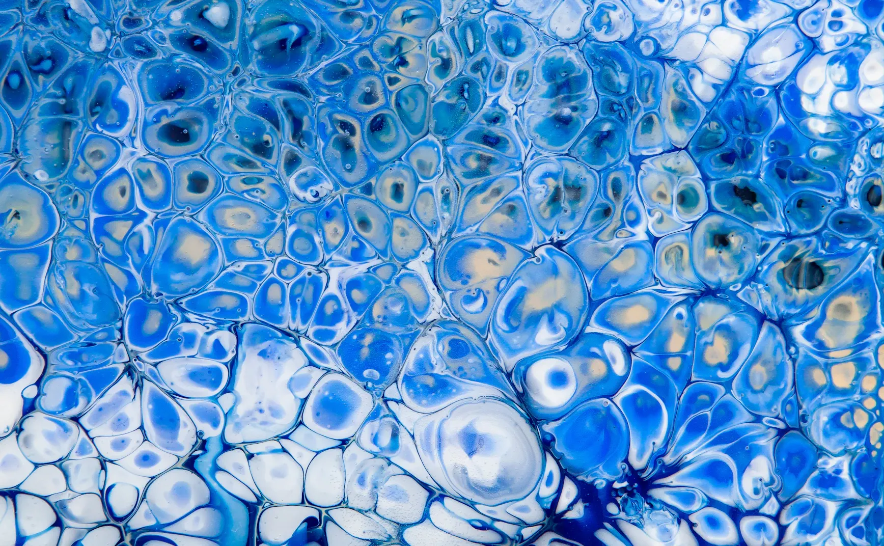 《眼科泛函分析》第二卷