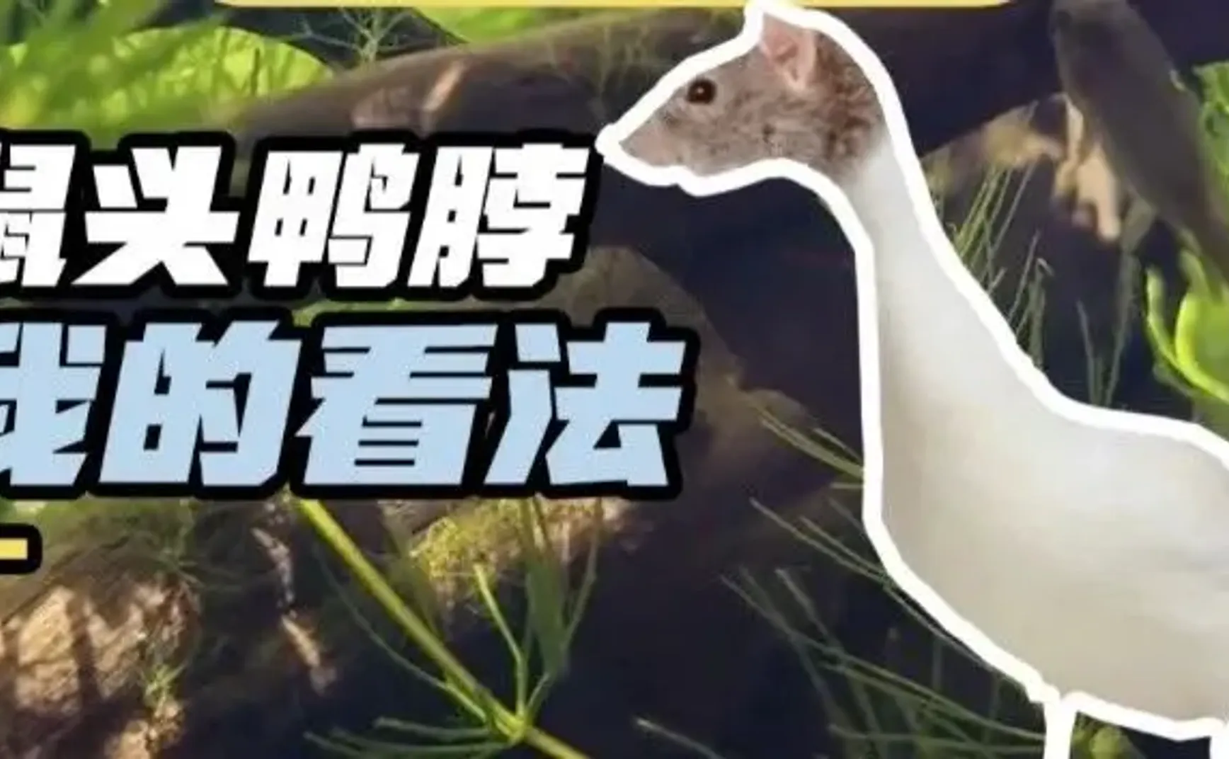 指鼠为鸭，是谁给了他们公然撒谎的勇气？
