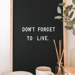 《猫的伏击》第6章：你最强的大脑功能，叫“遗忘”