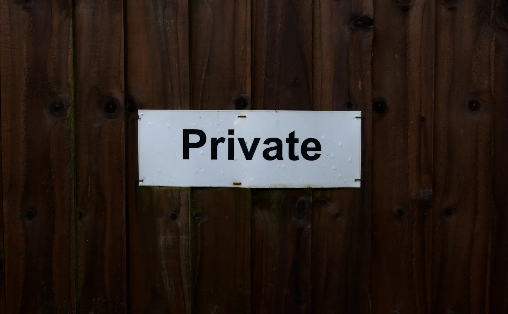 Newsletter Membership Terms of Service & Privacy Policy