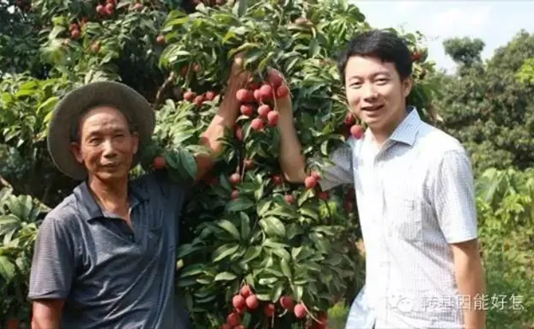 【英文报道】Former journalist challenges perceptions of GM foods