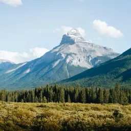 习惯养成的一点新实践