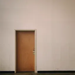 021 对《旧门》的赏析