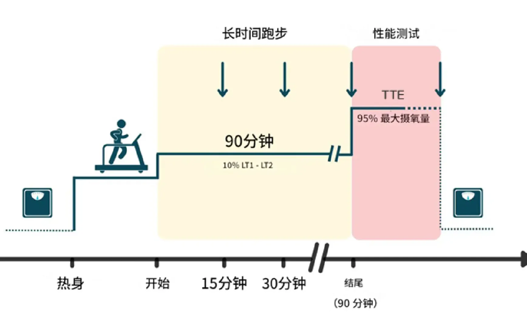 「实证有效」这种跳跃训练竟能让跑步耗氧降低8%？疲劳力竭时间延长35%！