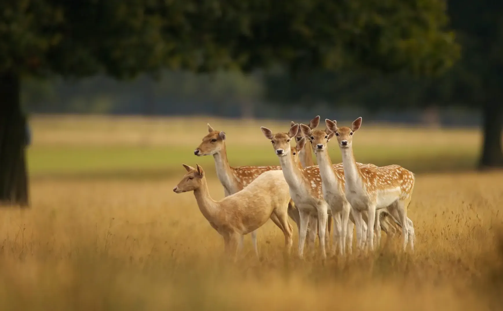 8月24日 | 社会焦点：佛山离婚案判决引争议，多地民生困境待解，美联储政策或调整