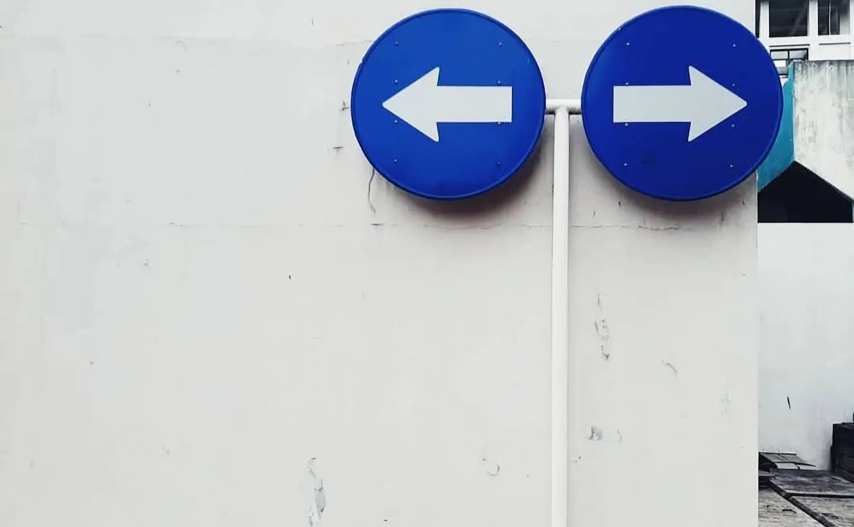 《猫的领地》第 4 章：第三条道路