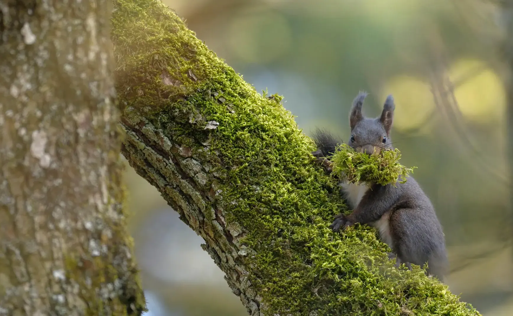 9月9日 | 外交部反制日本参议员；云南家长被行拘引争议；多项民生新政发布