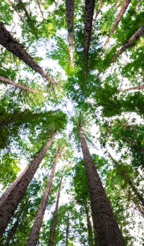 读记｜二〇二五・八：台北人、白先勇、教养