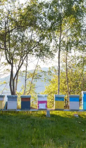 8月16日 | 日本历史问题再引关注，学术造假与网络乱象受严查