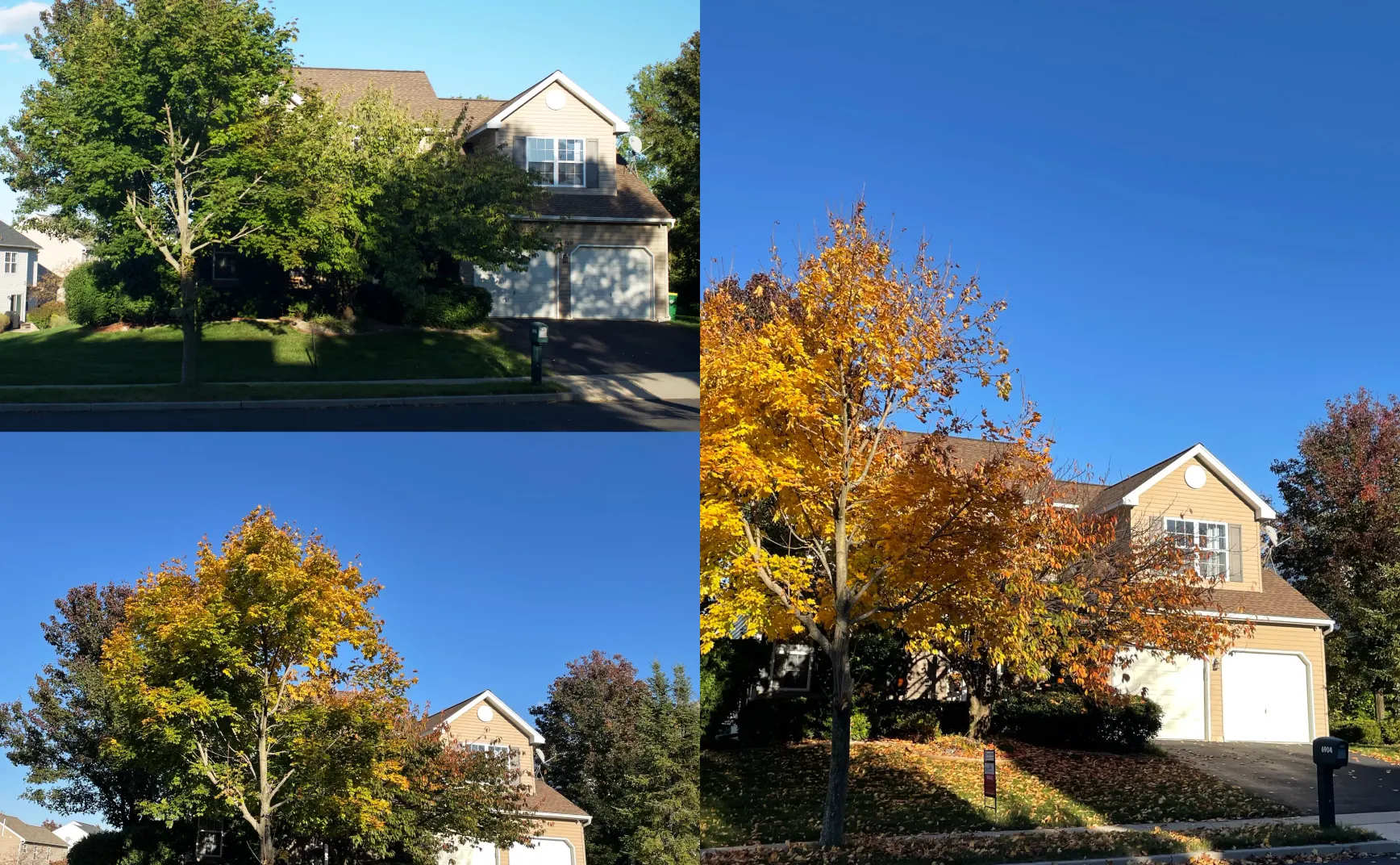 Fall in Pennsylvania 自说自话#87